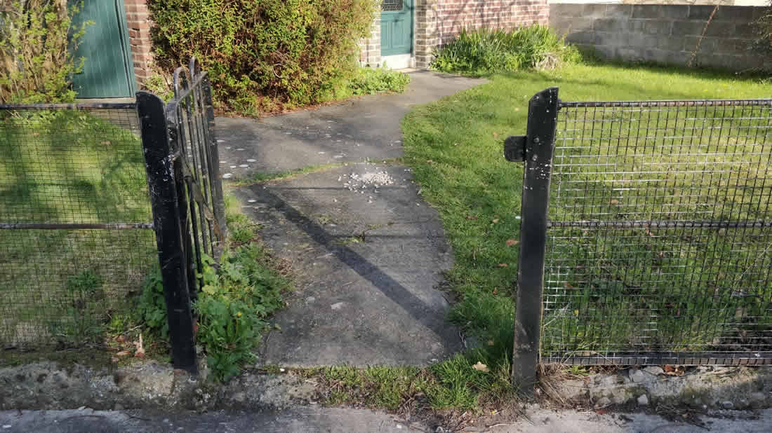 Dated Concrete Path and Grass Section in Harolds Cross, County Dublin